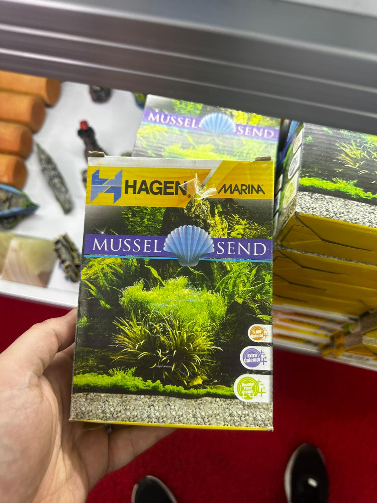 Hagen Marina Mussel Sand Akvaryum Kumu 5kg