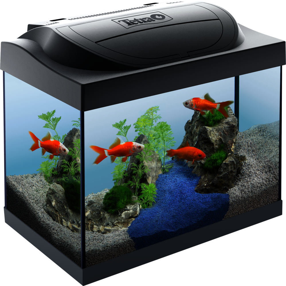 Tetra Starter Line LED Akvaryum Seti - 54LT
